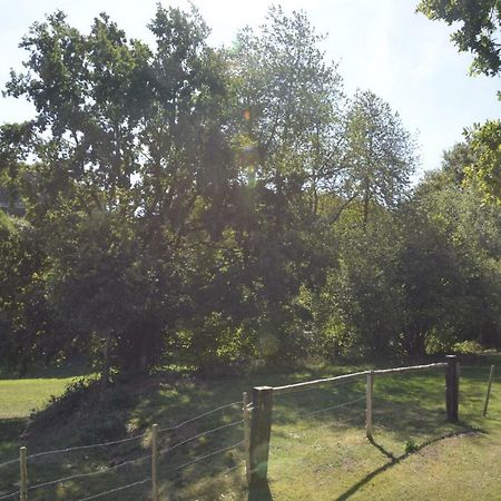 Alte Schule 1 Apartment Kall Luaran gambar